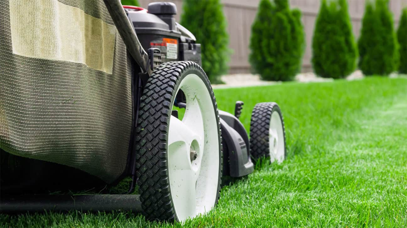 Lawn Service and Lawn Care