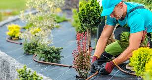 Best Landscapers In St. Augustine