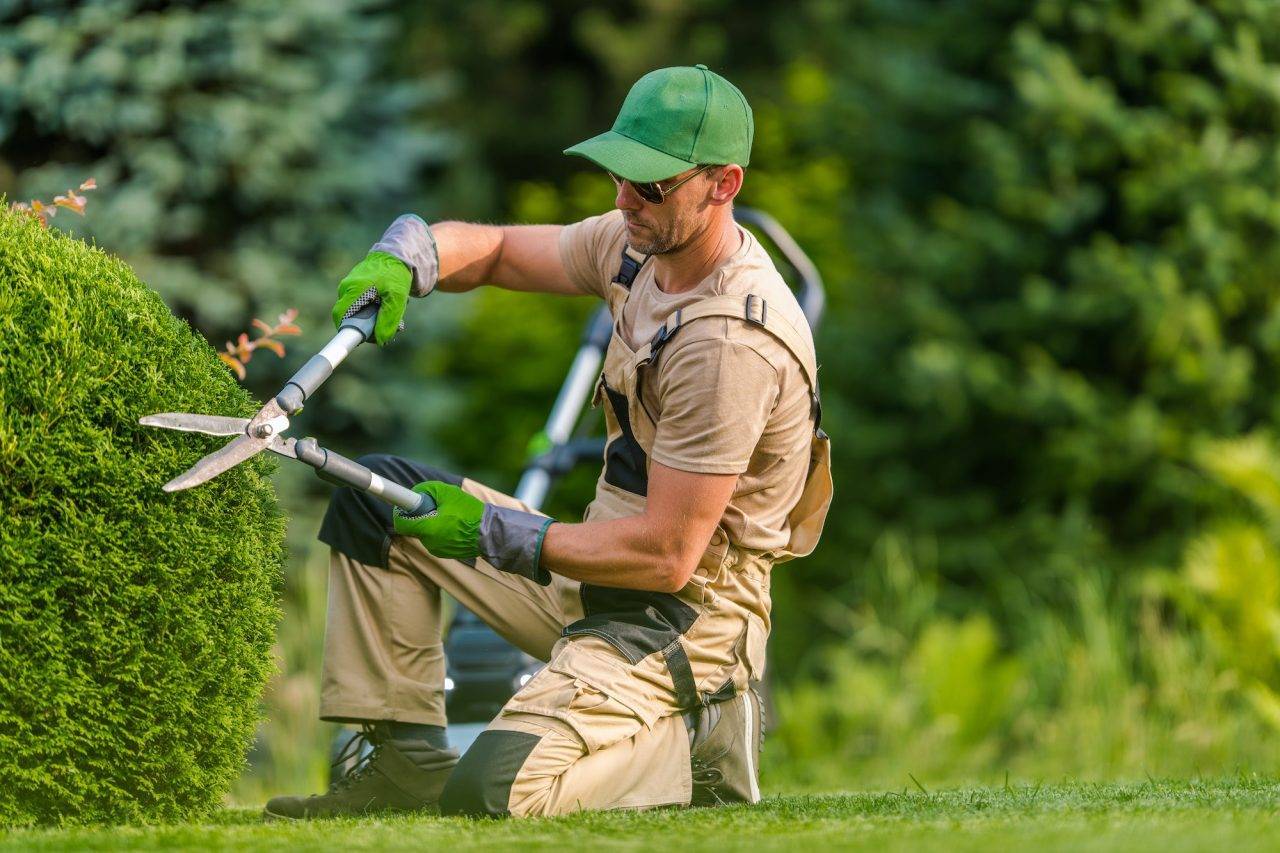 landscaping company near me