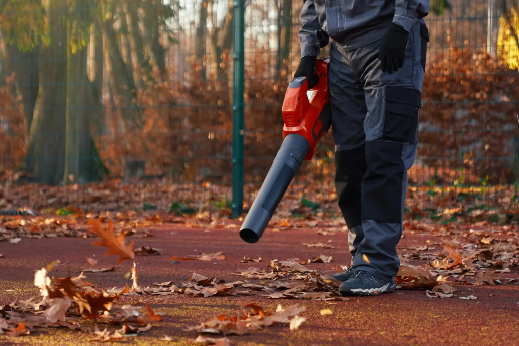 sprin & fall cleanup st augustine fl