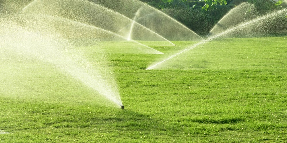 St Augustine Beach Landscaping Services