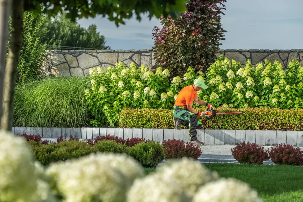 landscapers Palencia, FL