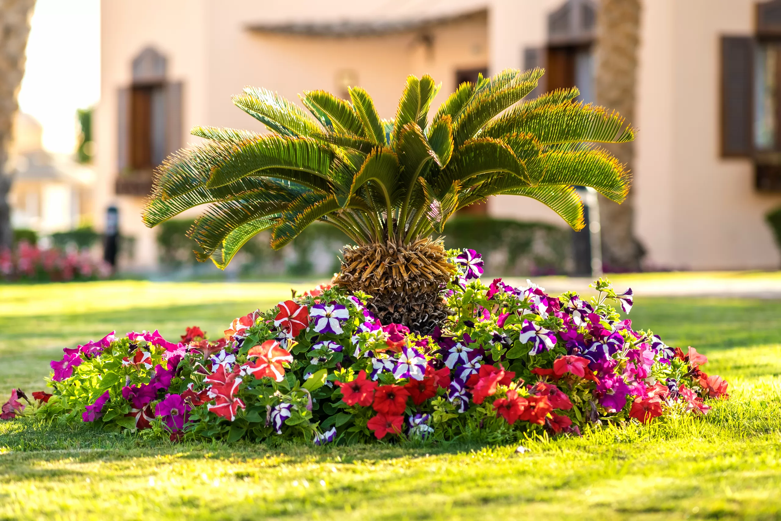 world golf village fl landscaping