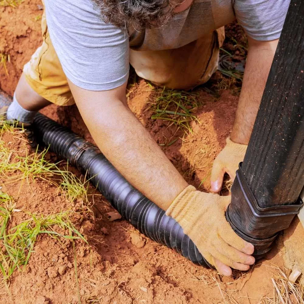 St Augustine Beach Landscaping Services Baker Company Inc