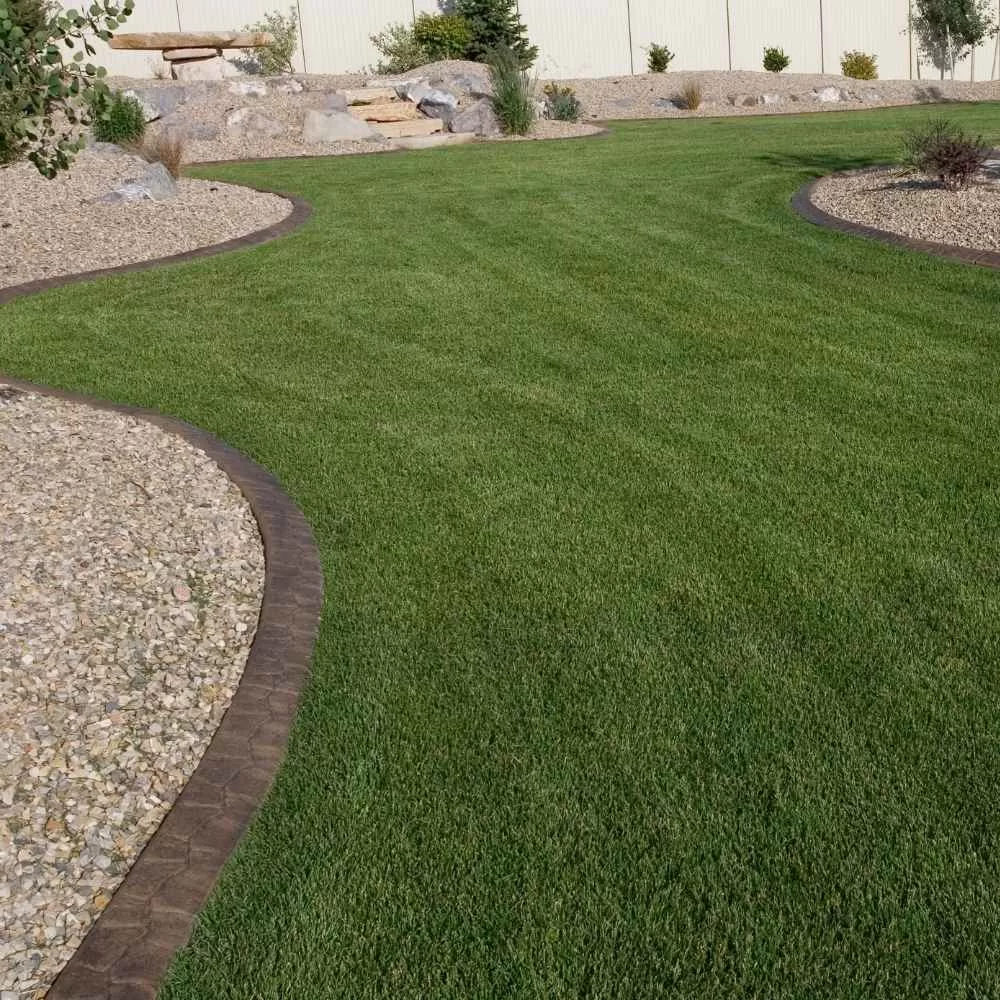St Augustine Beach Landscaping Services
