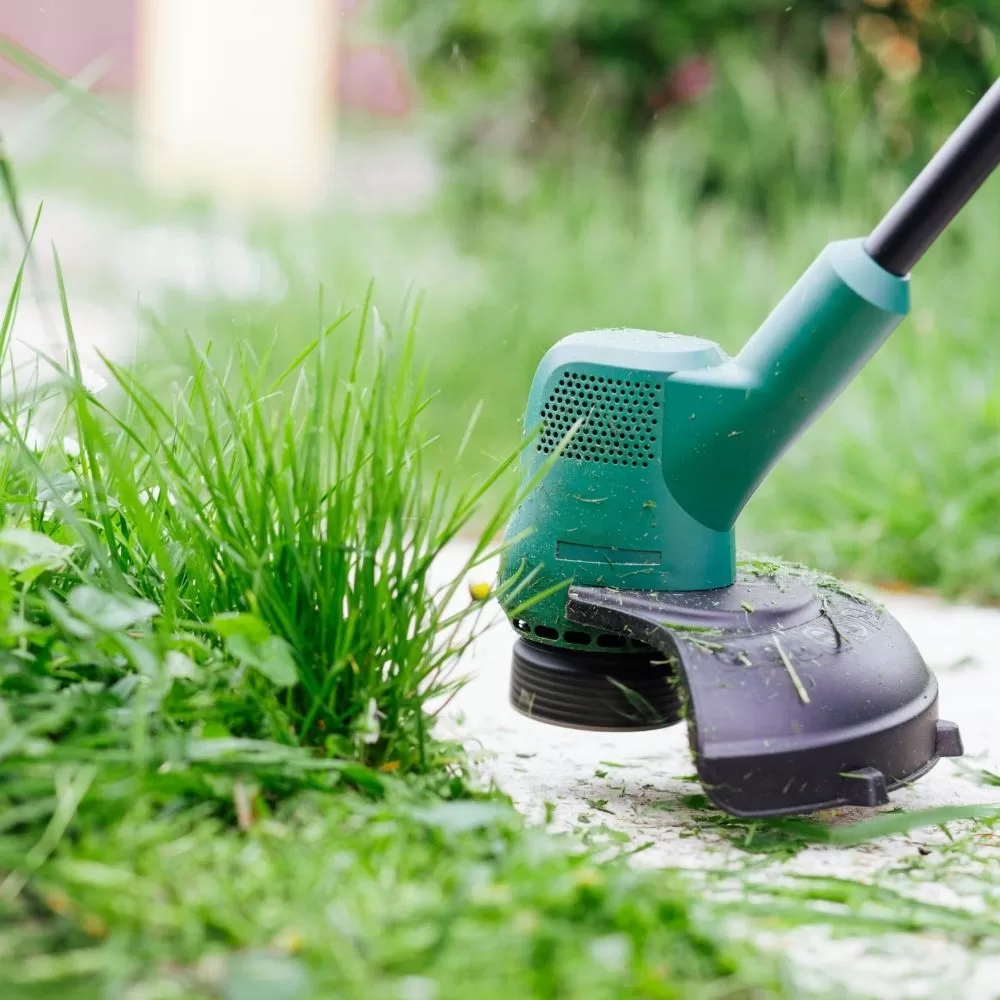 St Augustine Beach Landscaping Services Baker Company Inc