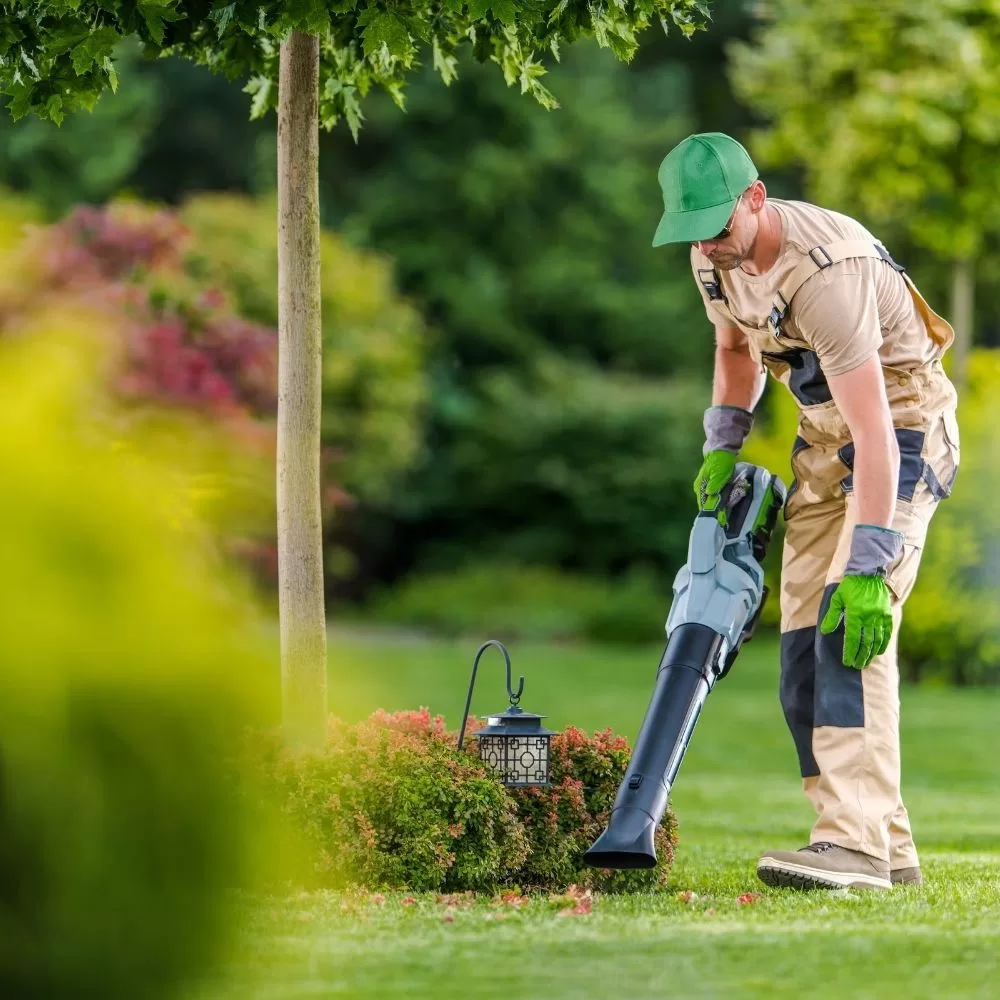 St Augustine Beach Landscaping Services Baker Company Inc