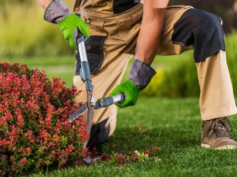 St Augustine Beach Landscaping Services Baker Company Inc