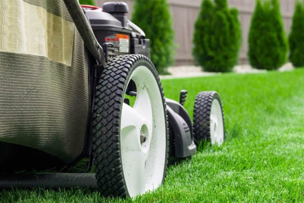 Lawn Service and Lawn Care