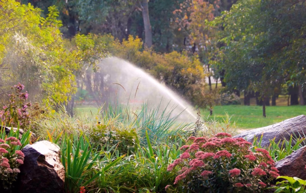 green-garden-landscape-with-flowers-and-sprinkler-2026-03-10-00-00-38-utc